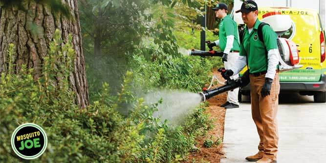 Mosquito Joe Outdoor Pest Control Franchise | FranchiseOpportunities.com