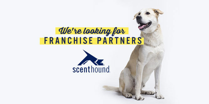 Scenthound - The Clean Dog Revolution Franchise Opportunity |  