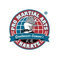 Pro Martial Arts Franchise Information | BusinessBroker.net