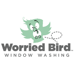 Worried Bird Window Washing